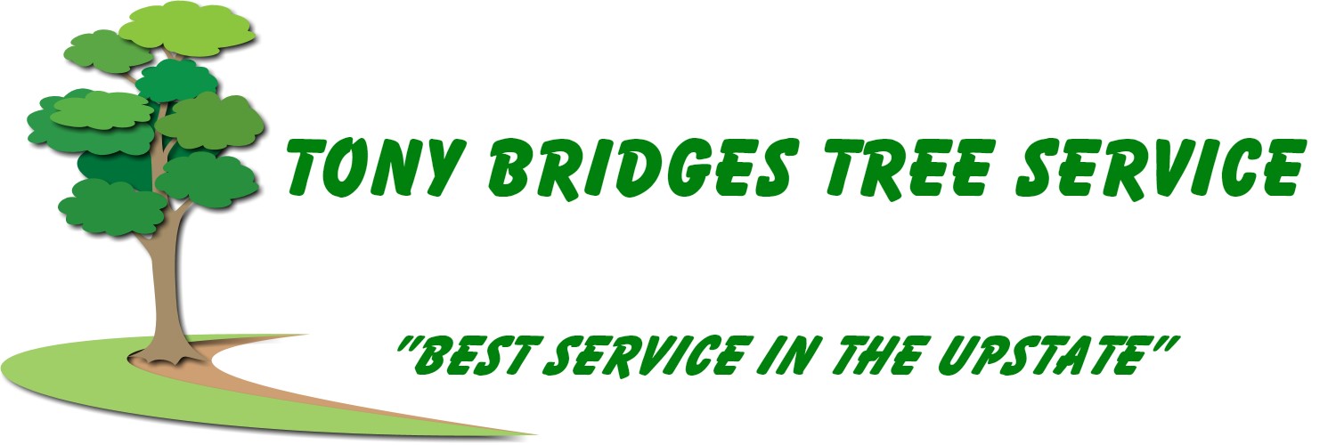 Tony Bridges Tree Service Greenvillle SC