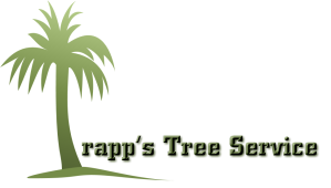 Trapps Tree Service Columbia SC